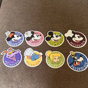 Walt Disney World Passholder Magnet Magnets - Set of 8